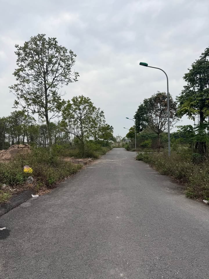 Đất Trục Chính Đường CL51 Mỹ Trung Nam Định - 75m² - Giá Đầu Tư 3 Tỷ