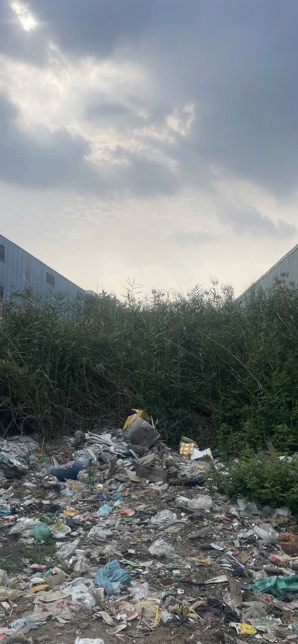 Bán Đất SKC Đức Hoà Hạ, Long An 947m² - Xe Container Vào Tận Nơi