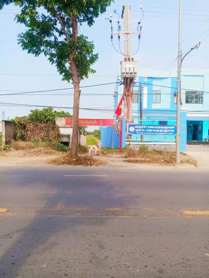 Bán Gấp Đất Vườn 1800m² Sóc Trăng - Sổ Hồng Riêng