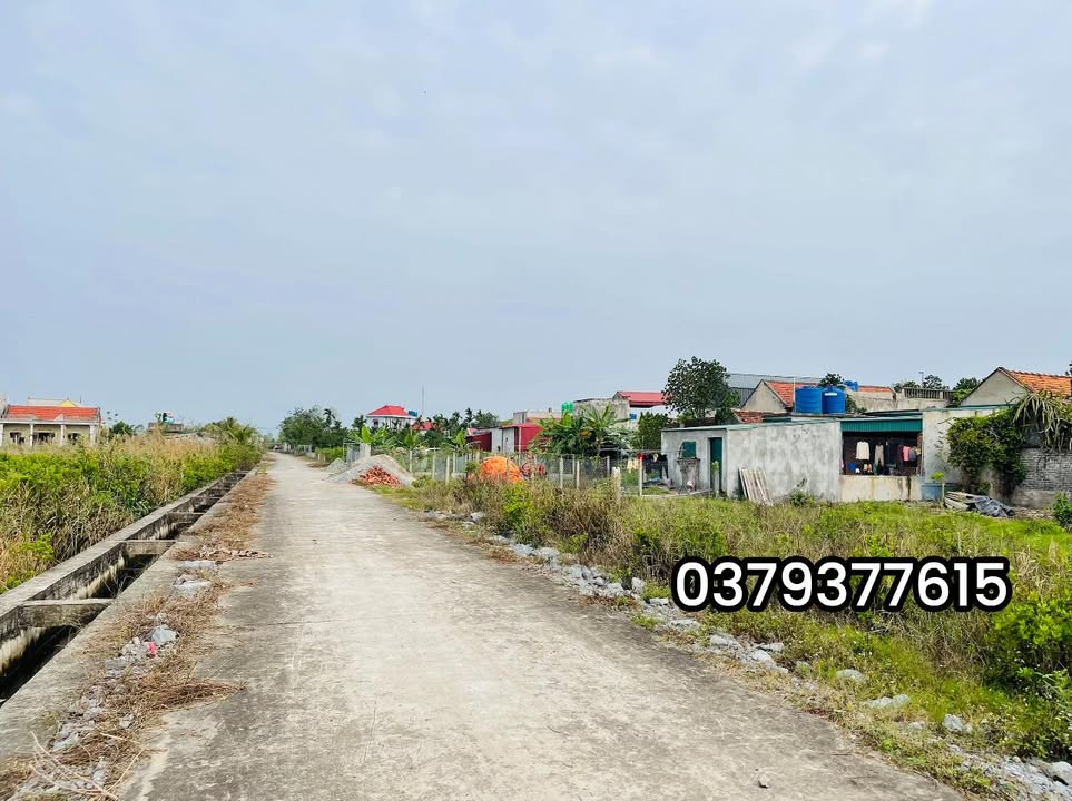 Đất Thổ Cư Kim Trung, Ninh Bình - 200m² Giá 800 Triệu, Sẵn Sổ Hồng