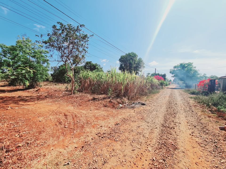 Bán Đất Buôn Trấp Đắk Lắk 320m² Mặt Tiền 2 Lối Đi - Giá 350 Triệu