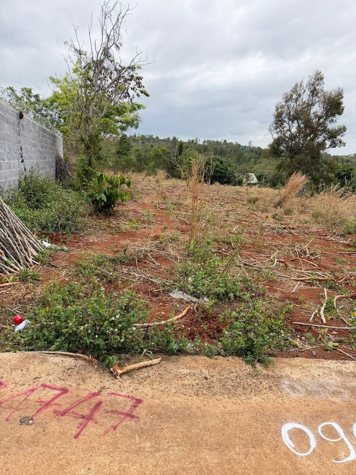 Đất nền 500m² mặt tiền đường 19/5, Buôn Ma Thuột - Giá 1.199 tỷ