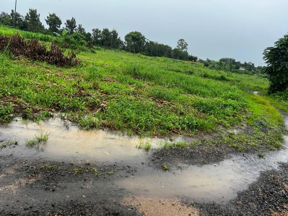 Đất Nền Cư M'gar - 2000m² Mặt Tiền Phủ Hồng, Sổ Hồng ONT, Giá 670 Triệu