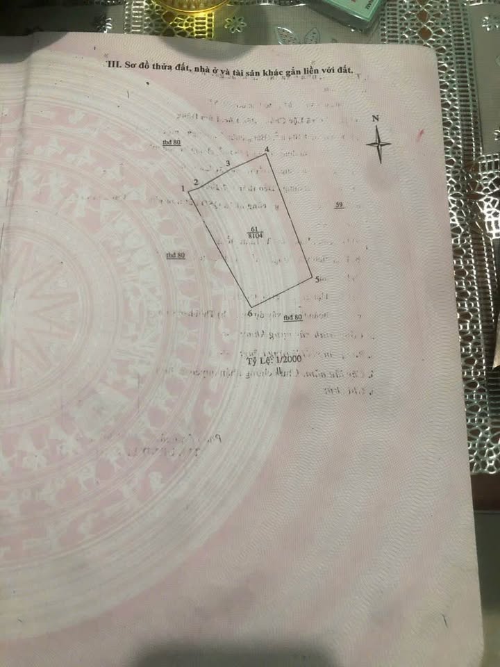 Đất Nền View Núi Đại Bình - Lạc Lâm, Đơn Dương - 8100m²