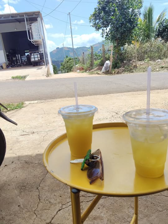 Bán Gấp 30400m² Đất Đỏ Bazan Mặt Đường Đinh Trang Hòa - 2.9 Tỷ