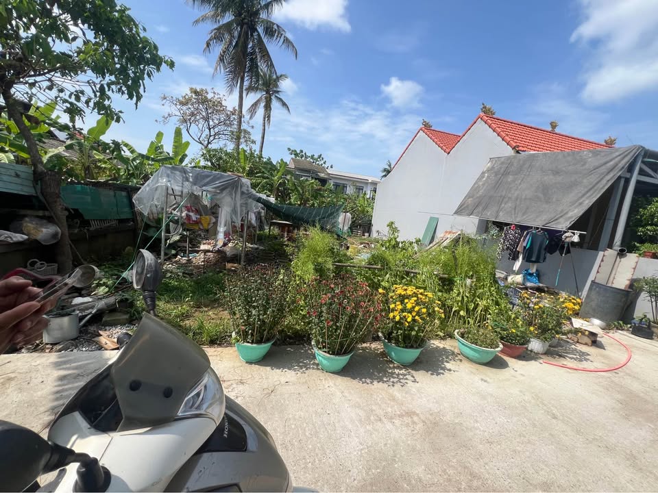 Bán Gấp 2 Lô Liền Kề Xóm 3 Phú Thượng, Huế - 79.4m²/lô - Giá 1.56 Tỷ