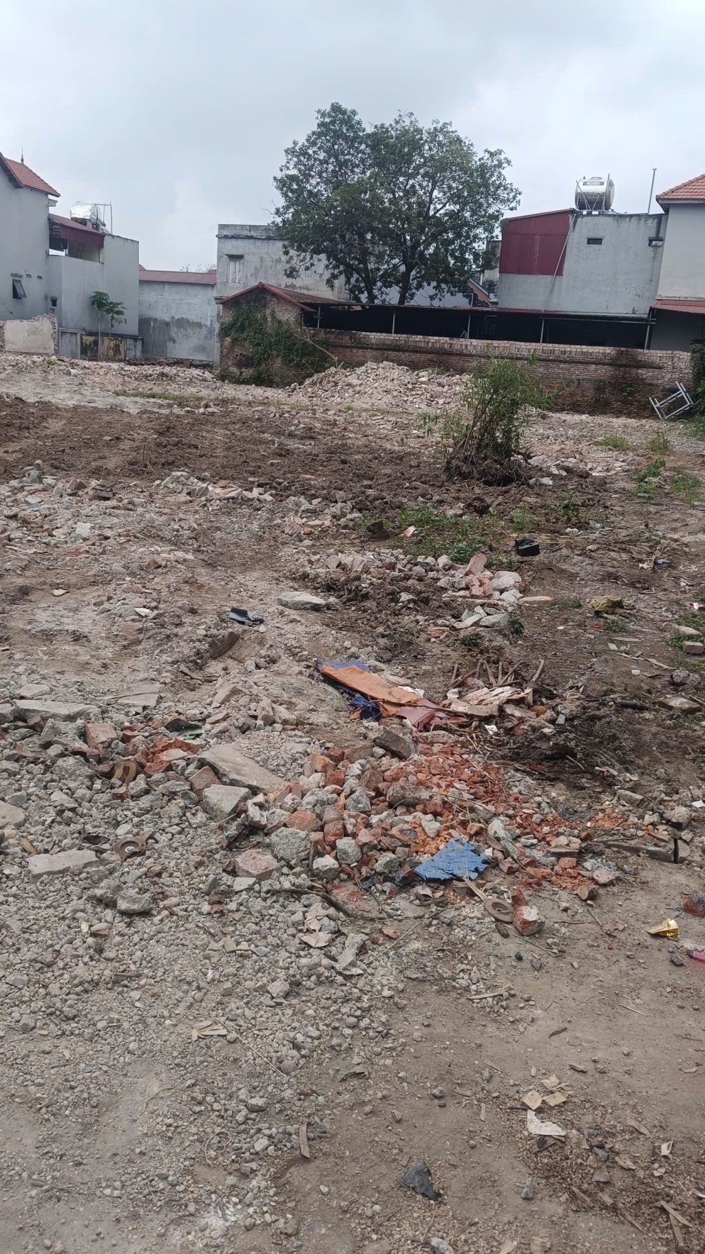 Lô đất đẹp 55,8m² tại Song Liễu, Thuận Thành - Giá 1,7 tỷ, cơ hội đầu tư hấp dẫn!