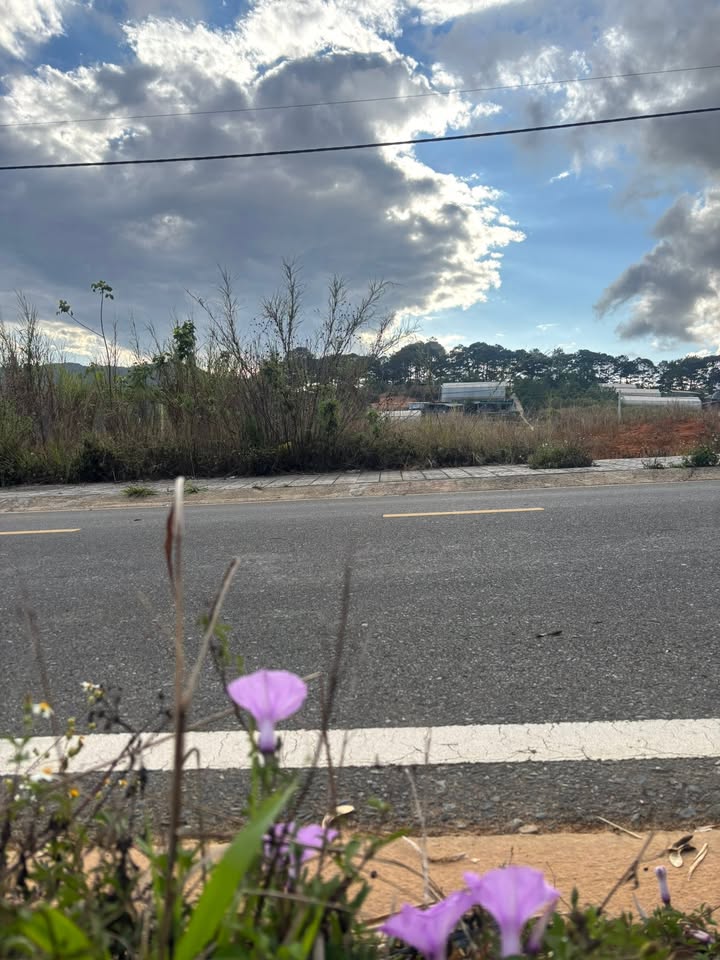 Đất Nền DIC An Sơn Đà Lạt 112m² - 2 Mặt Tiền, View Đồi Thơ Mộng