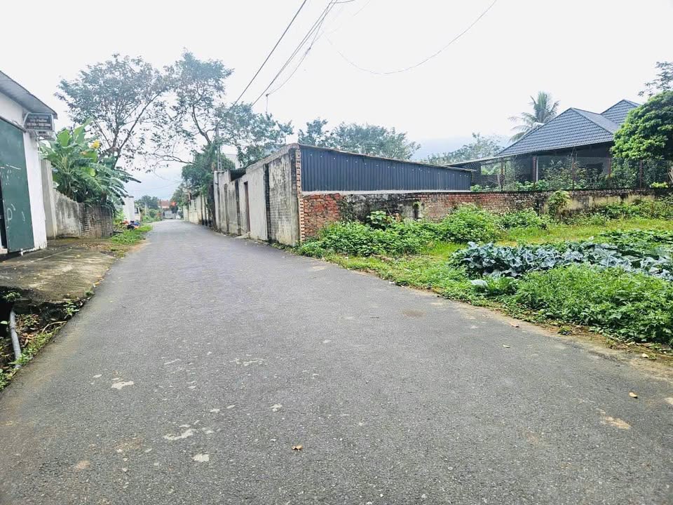 Đất nền Tam Đảo 100m² - Sổ đỏ sẵn, ô tô tránh, giá 1.1 tỷ