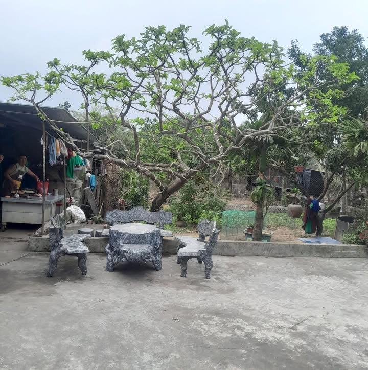 Đất nền mặt tiền Trần Quang Khải, Ninh Bình - 90.9m² - Hướng Đông Nam