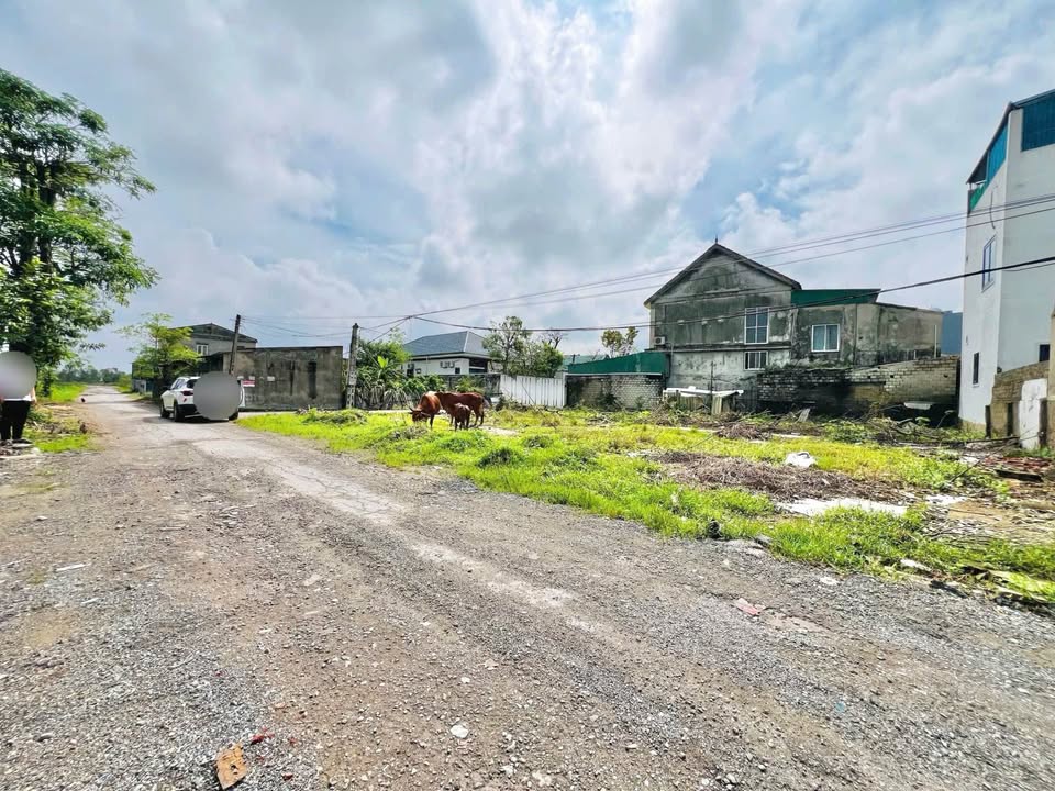 Đất Mặt Đường Nam Liên 84.3m² - Sát Cao Đẳng GTVT, Giá 2.2 Tỷ