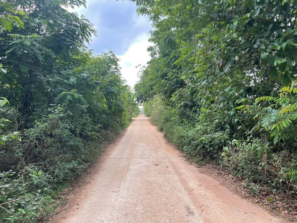 Đất Vườn 30.000m² Hẻm Trương Định, Pleiku - Giá Đầu Tư 3 Tỷ