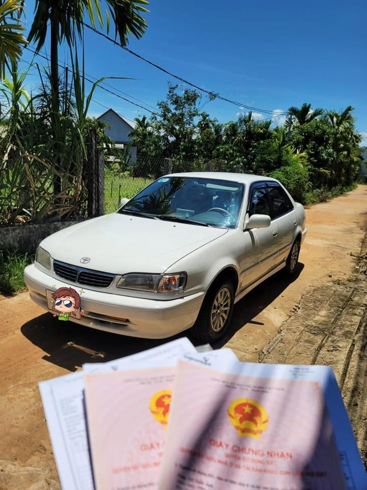 Đất Sổ Đỏ Nghĩa Thuận (Tư Nghĩa) 112m² Lô Góc Giá Chỉ 4xx Triệu - Sẵn Sổ