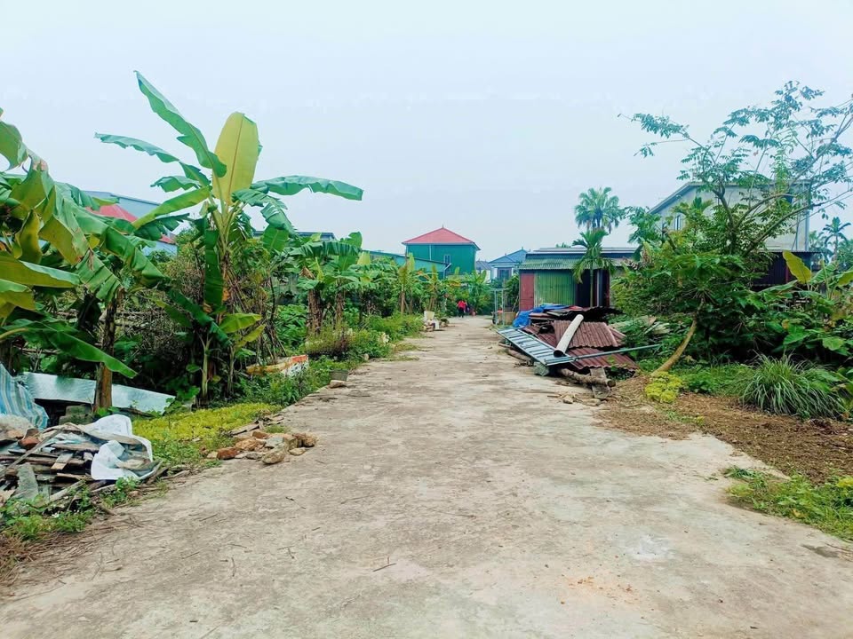 Đất Trung Hòa - Hà Tĩnh: 100m² Vuông Vắn, Giá 1.0x Tỷ, Sẵn Sàng Xây Nhà Mới