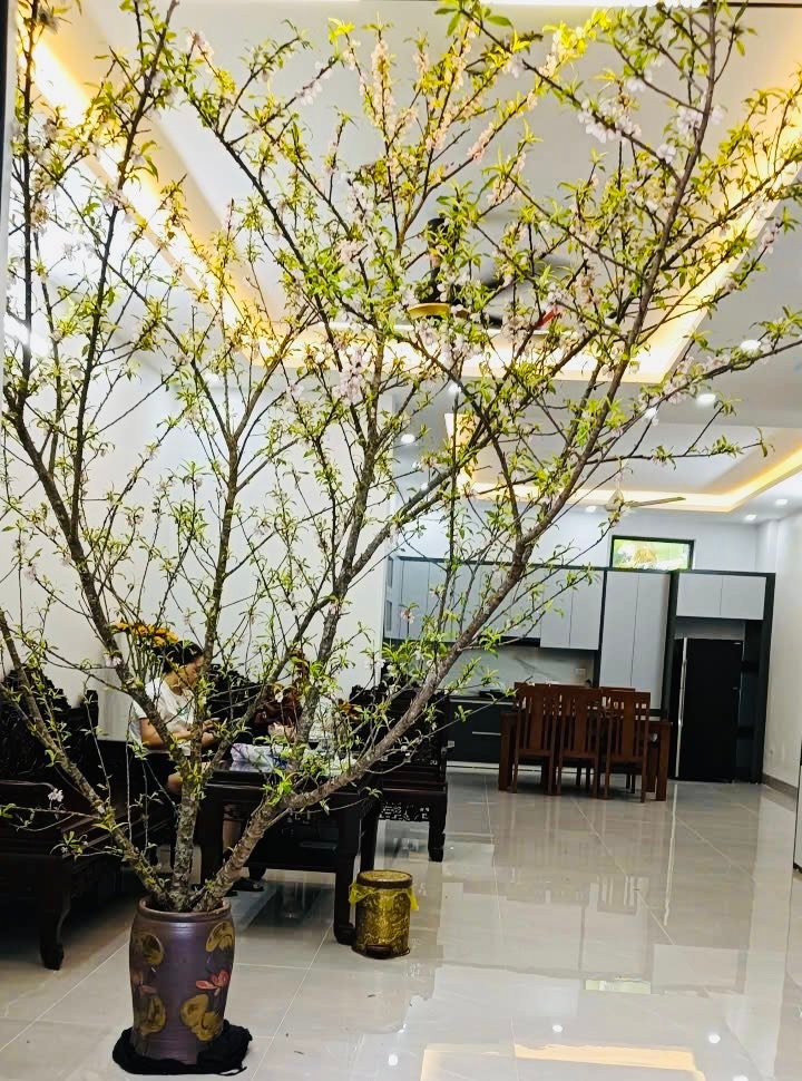 Nhà 3 Tầng 97m² Phường Đông Hương - Sổ Hồng Sẵn Sàng