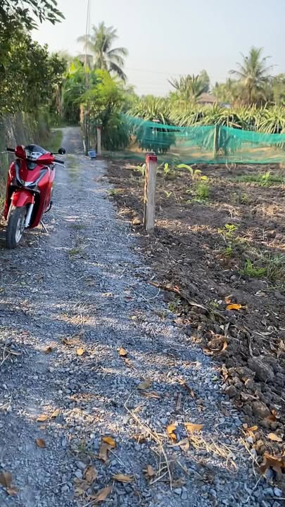 Đất Nền Nghỉ Dưỡng Tiền Giang - 3 Lô 319.6m² Giá Đầu Tư 280 Triệu