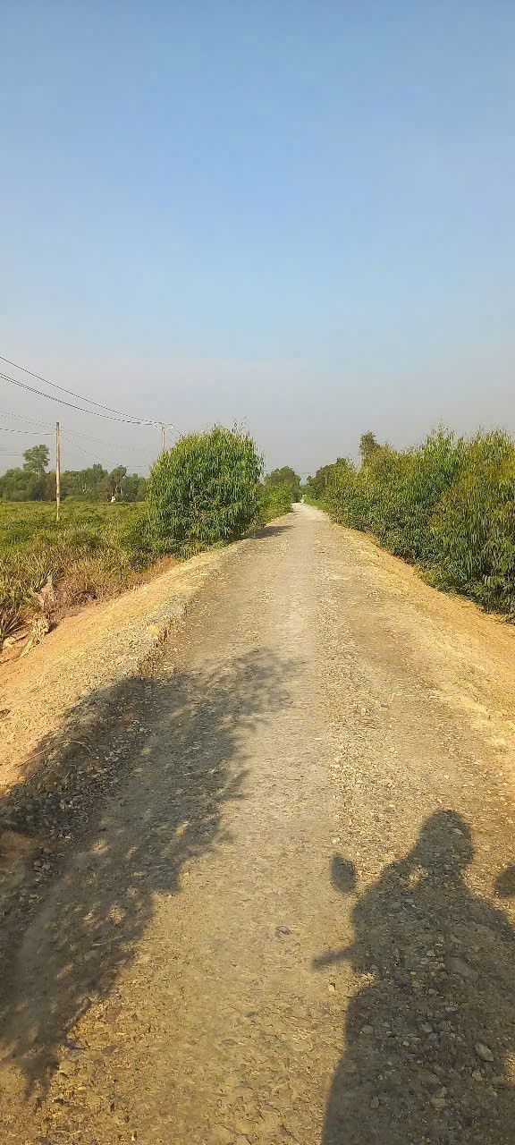 Bán Gấp 14 Công Đất Vườn Lớn Tại Tân Phước, Đồng Tháp - Giá 21.7 Tỷ