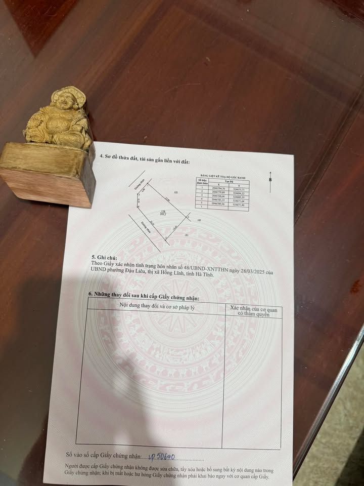 Đất nền sổ đỏ Phường Quang Trung, Vinh 293m² - Lô góc, giá đầu tư