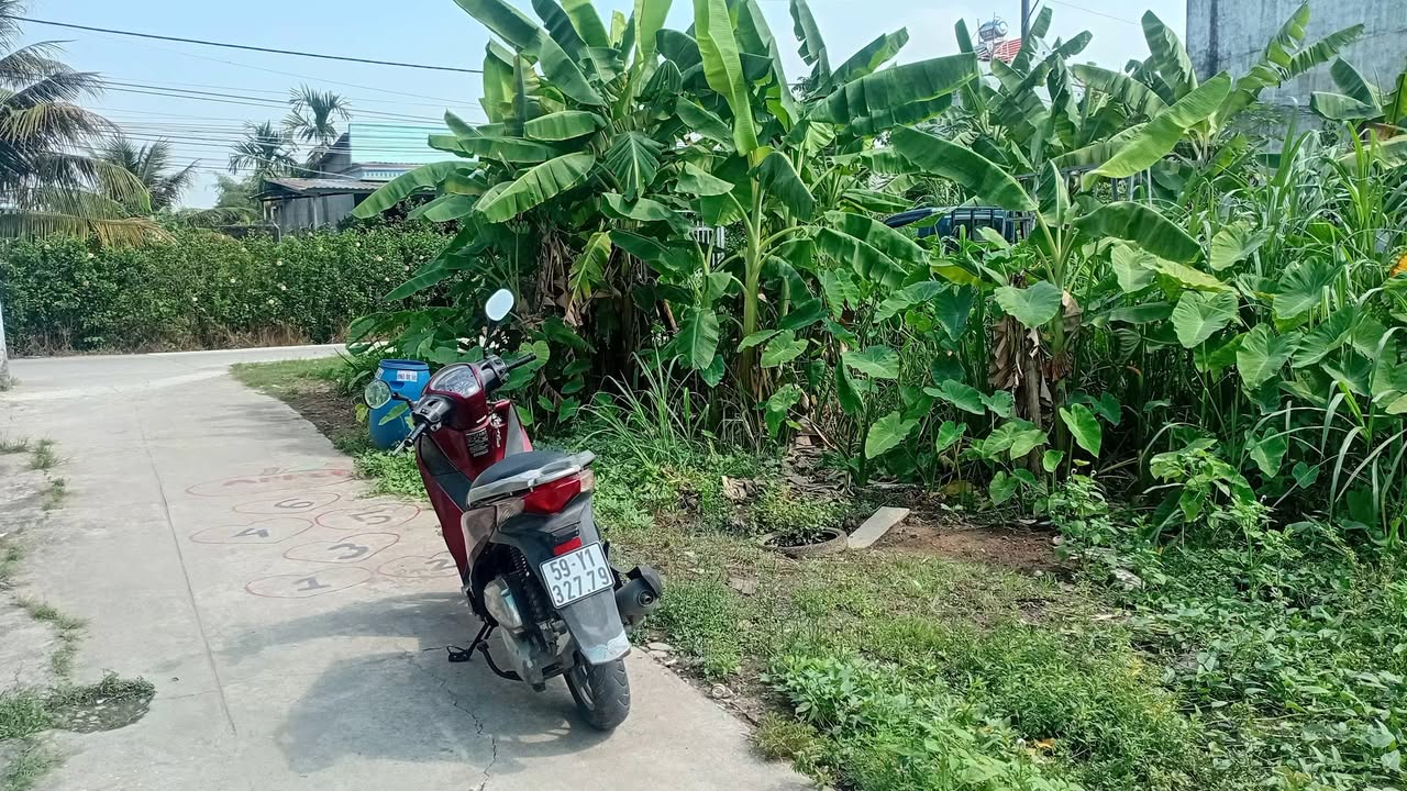 Đất Thổ Cư 426m² Mặt Tiền Hà Duy Phiên, Củ Chi - Giá 5.2 Tỷ