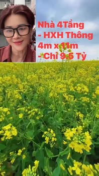 Nhà Hẻm Xe Hơi Lê Văn Thọ, Gò Vấp - 44m², 4 Tầng, Giá 9.6 Tỷ