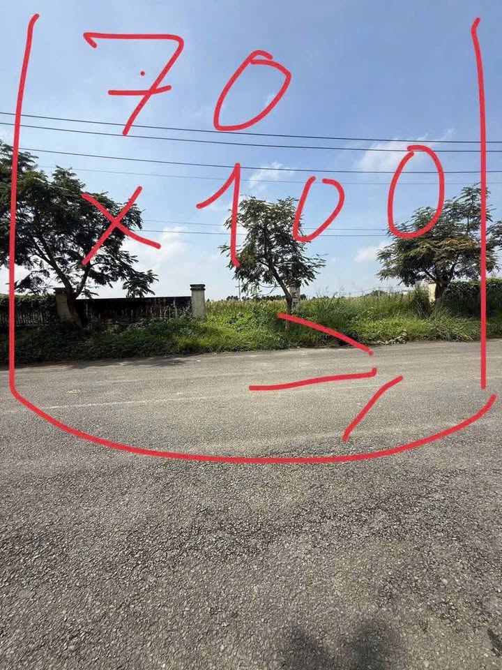 Bán Đất Cụm CN Nhị Xuân Hóc Môn 7.700m² - Sẵn Sàng Sản Xuất Kinh Doanh