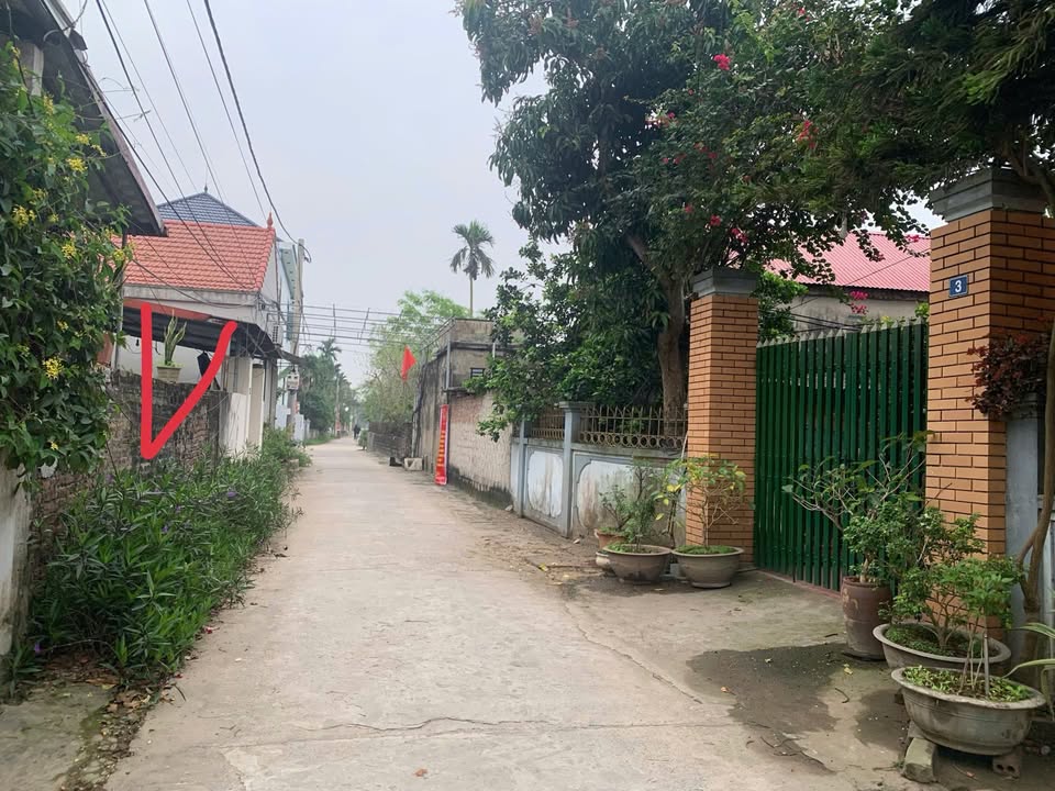 Bán đất Ba Vì 80m² sổ đỏ chính chủ - Sẵn sàng xây nhà