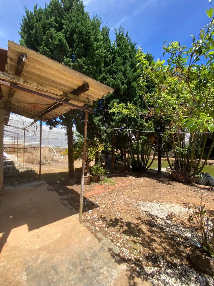 Đất Nền Nghỉ Dưỡng 500m² Nguyên Tử Lực, Đà Lạt - Sổ Riêng, Giá 6 Tỷ