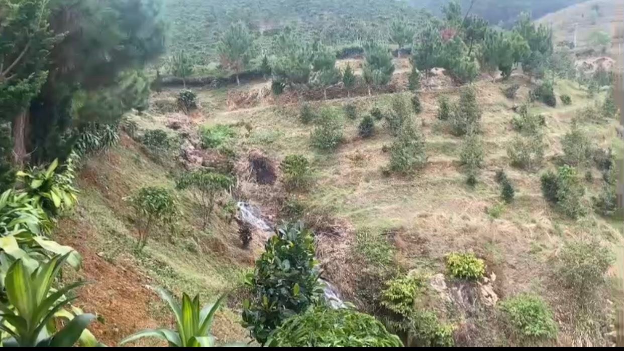 Bán Gấp Đất Vườn 15.000m² View Suối Đại Lào, Lâm Đồng - Sổ Đỏ Chính Chủ