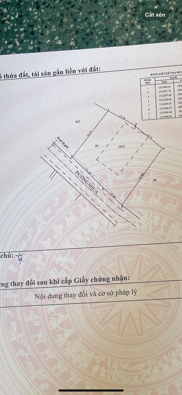 Đất Vàng Củ Chi - Mặt Tiền Đường Nhựa 1184m² Sổ Hồng Riêng, Giá 8 Tỷ