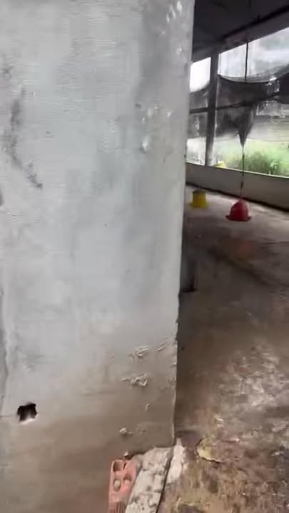 Farm cho thuê 3000m² mặt tiền nhựa Xuân Tây, Đồng Nai - Có nhà Yến thu nhập ổn định