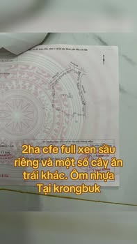 Bán Rẫy Sầu Riêng 2ha Bến Cát, Bình Dương - Giá 9 Tỷ