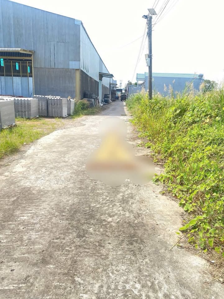 Đất Thổ Cư 90m² Hướng Đông Nam - Cách Cầu Bạch Ngưu 100m, Huyện Thới Bình