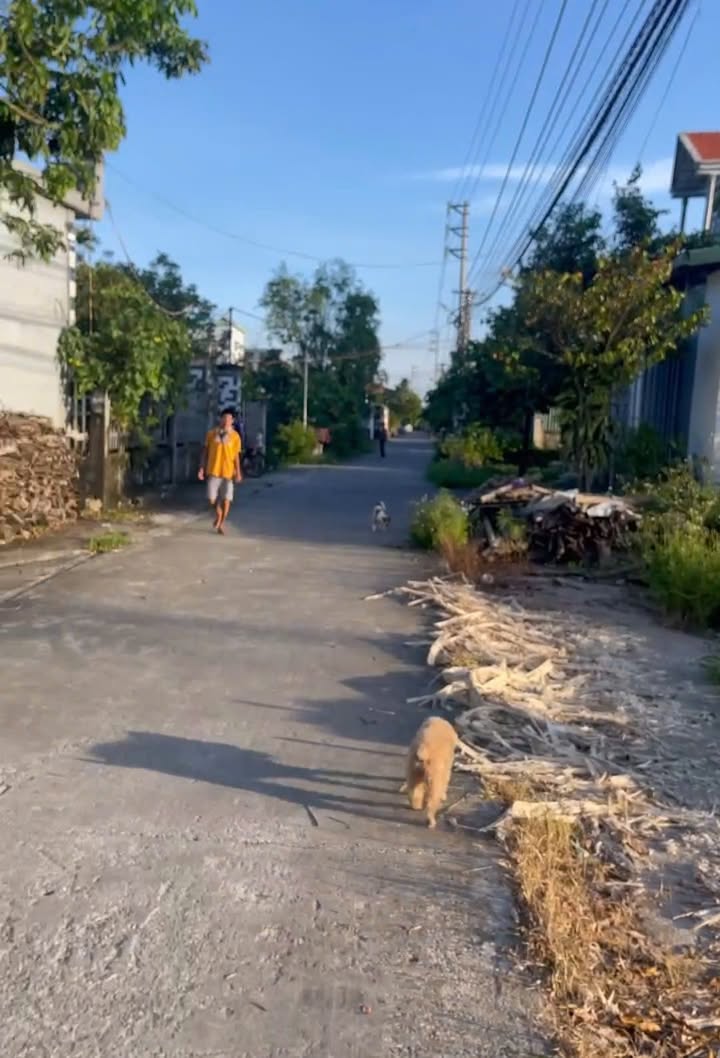 Bán Đất Nền Đông Cường Đông Hưng 150m² - Mặt Tiền Hướng Đông Bắc, Đường 15m Ô Tô