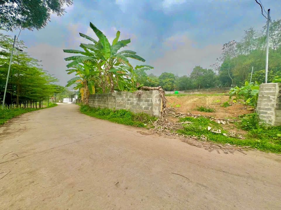 Đất nền 1003m² Phường Gia Sàng, TP. Thái Nguyên - Sổ đỏ, hướng Tây Bắc