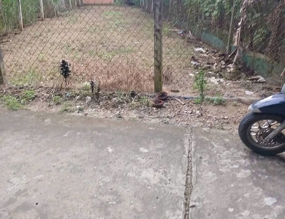 Đất nền mặt tiền 286.9m² Tỉnh lộ 882, Bến Tre - Sổ đỏ thổ cư, giá 590 triệu