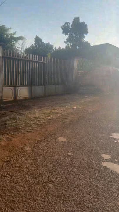 Đất Vàng Đường Lê Lợi, Đức Cơ - 291m², Cách Chợ 100m, Giá 9-10 Tỷ