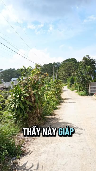 Bán Đất Vườn 3551m² Mặt Tiền Trương Định, Bảo Lộc - Sổ Thổ Cư Sẵn Sàng