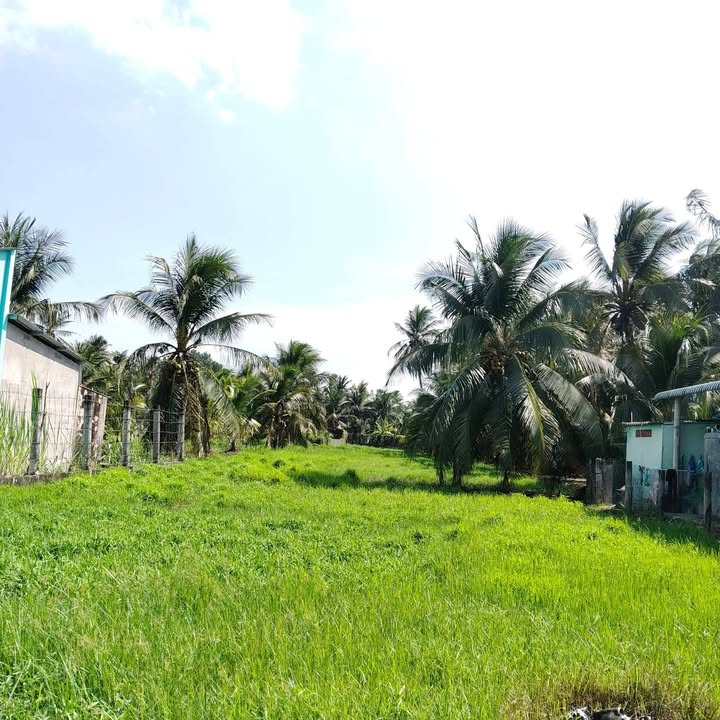 Bán đất 15458m² sổ đỏ thổ cư, Ấp An Thọ, Tiền Giang - Giá 1.5 tỷ