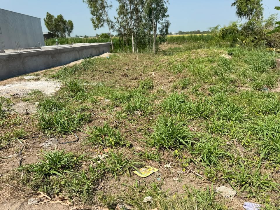 Bán Nền Tân Phước, Tân Hồng, Đồng Tháp - 120m² Thổ Cư, Giá 270 Triệu