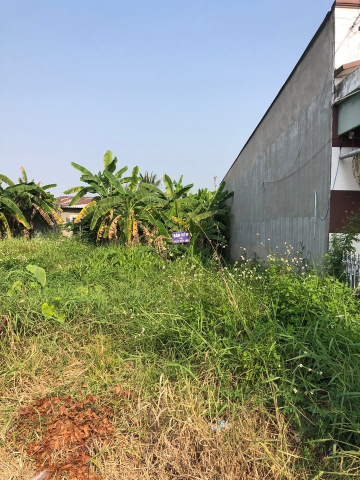 Bán Nền Đất 92m² Mặt Tiền Đường 12m, Tràm Chim, Đồng Tháp - Giá 1.1 Tỷ