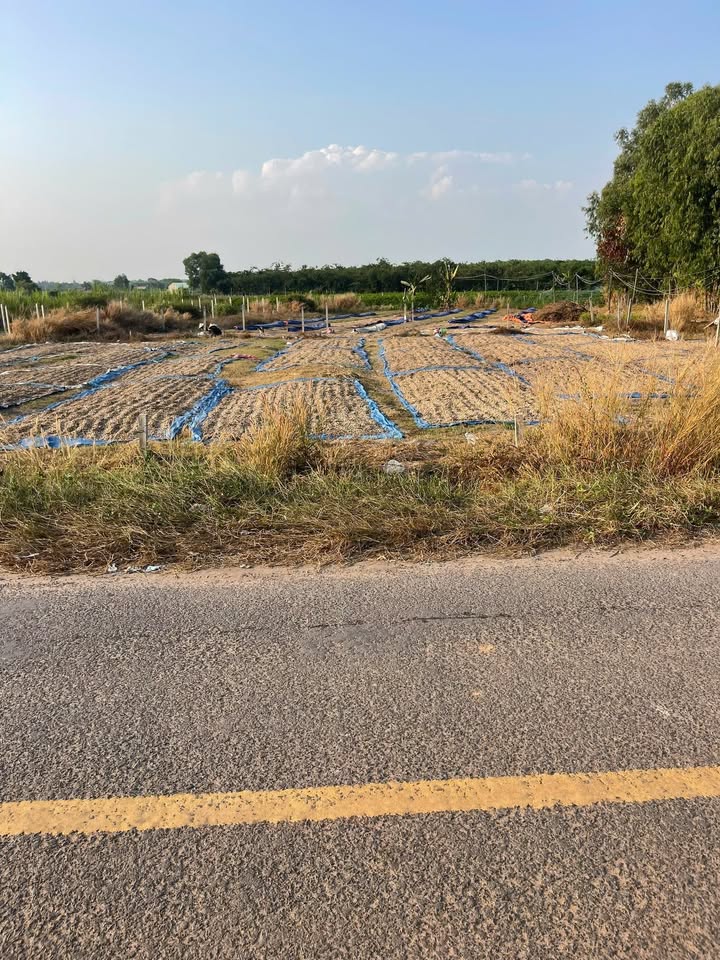 Đất Nền Mặt Tiền Phước Bình - Dương Minh Châu, Tây Ninh - 170m² - Giá Tốt