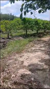 Đất Mặt Tiền ĐT 783 Tân Châu 3880m² - Kinh Doanh/Kho Xưởng Giá Tốt