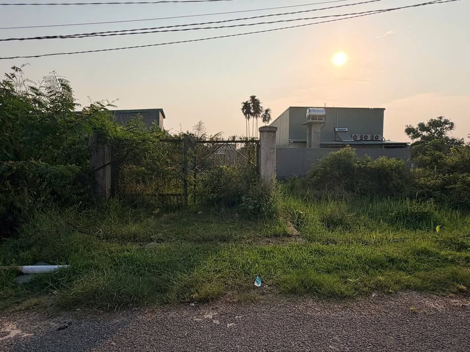 Đất Mặt Tiền Nhựa Trảng Bàng 90m² - Giá 480 Triệu, Sổ Hồng Sẵn Sàng