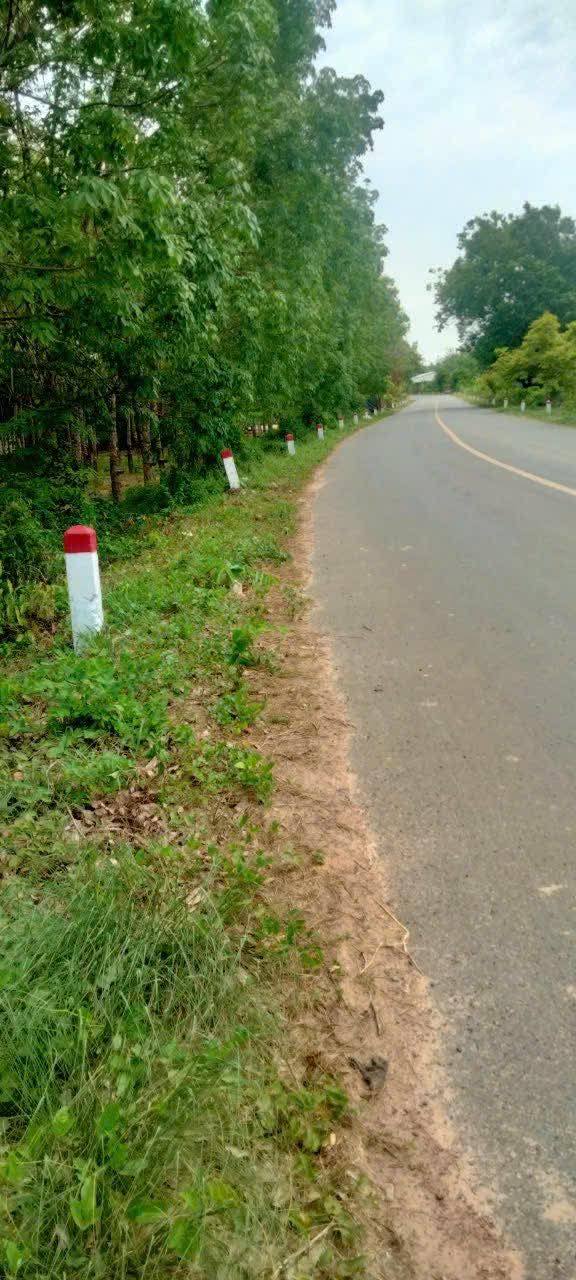 Đất Vàng Châu Thành 1800m² - Sổ Đỏ Chính Chủ, Giá 1.3 Tỷ