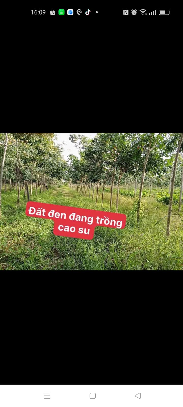 Đất Vườn Ninh Điền, Châu Thành, Tây Ninh - Hạ Giá Sốc 780 Triệu