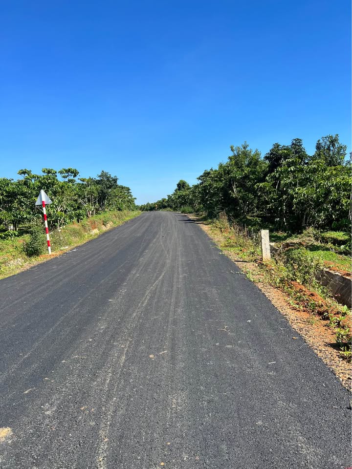 Bán Đất Bảo Lộc 80m² Mặt Tiền Đường Nhựa Qh - Sổ Hồng Sẵn Sàng