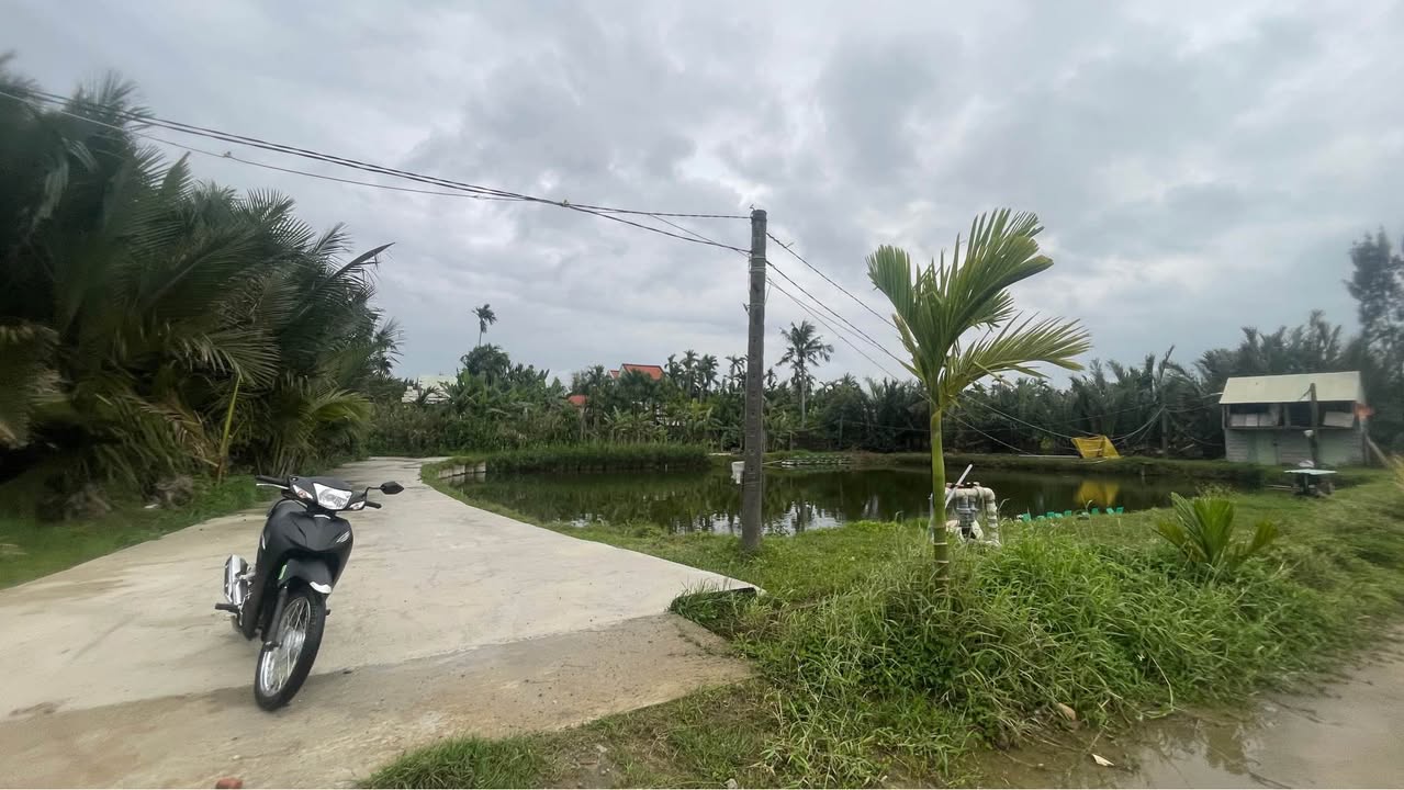 Đất nền 600m² hai mặt tiền đường ĐX17 Hội An - View lúa mát rượi