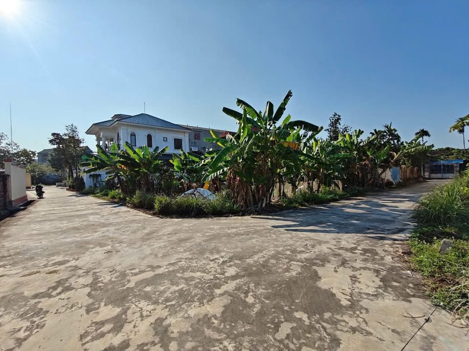 Đất đấu giá Việt Lập, Tân Yên, Bắc Giang - 81m² full thổ cư, giá 1.1 tỷ