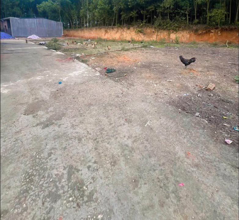 Bán Đất 119m² Thổ Cư Phường Tây Sơn, Tam Điệp - Sổ Đỏ Rõ Ràng