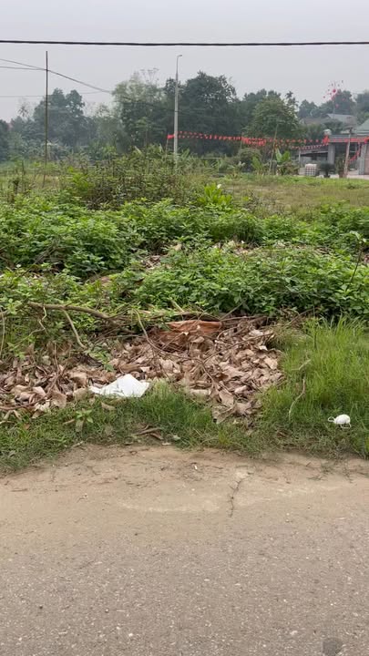 Bán Đất Nền Mặt Tiền Đường DH7, Việt Trì - 120m² Full Thổ Cư, Sẵn Sàng Kinh Doanh